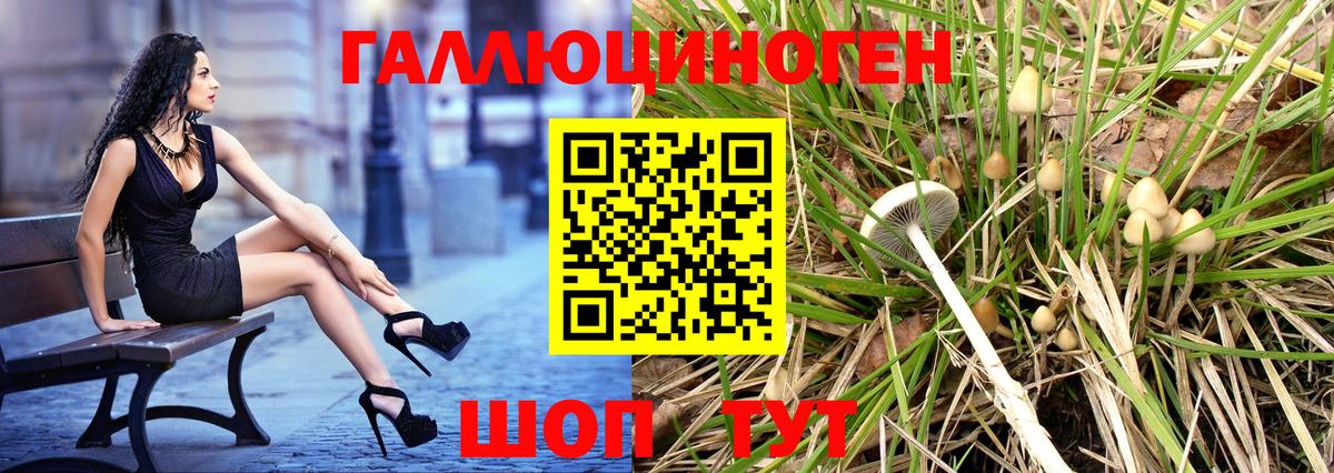 Дербент  Псилоцибиновые грибы ЛСД  Вход с VPN 