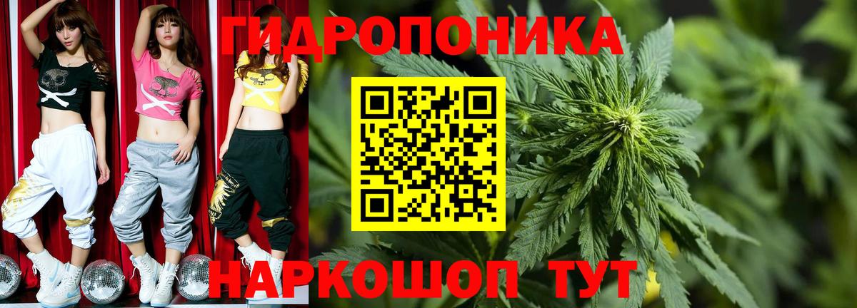 Конопля план Дербент